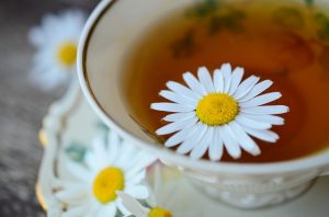 chamomile tea for arthritis pain