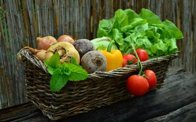 Can Diet Influence Rheumatoid Arthritis?