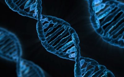 Rheumatoid Arthritis and Genetics