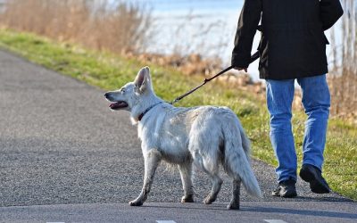 Getting Out and About with Arthritis